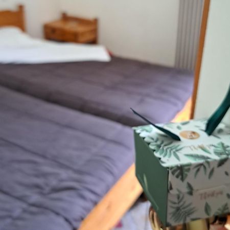 Apollon Inn Arachova Room photo