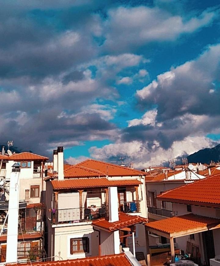 Apollon Inn Arachova Exterior photo